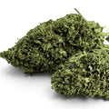 Fleur de CBD AK-47 — Indoor Premium (5,4%)