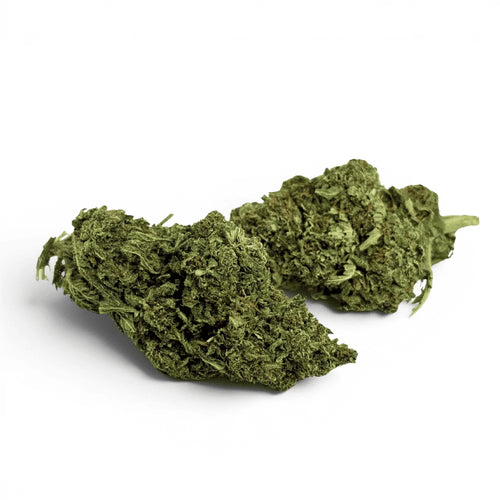 Fleur de CBD AK-47 — Indoor Premium (5,4%)